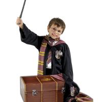 Accesorios disfraz Harry Potter