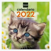 Calendario gatitos 2022