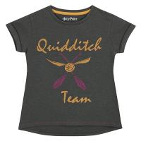 Camiseta Harry Potter Quidditch