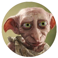 Disfraz de Dobby