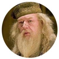 Disfraz Dumbledore