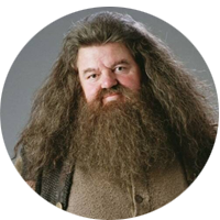 Disfraz de Hagrid