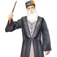 Disfraz Dumbledore Harry Potter