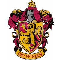 Disfraz Gryffindor