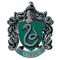 Disfraz Slytherin