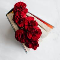 San Valentin libros