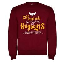 Sudadera Harry Potter niño 